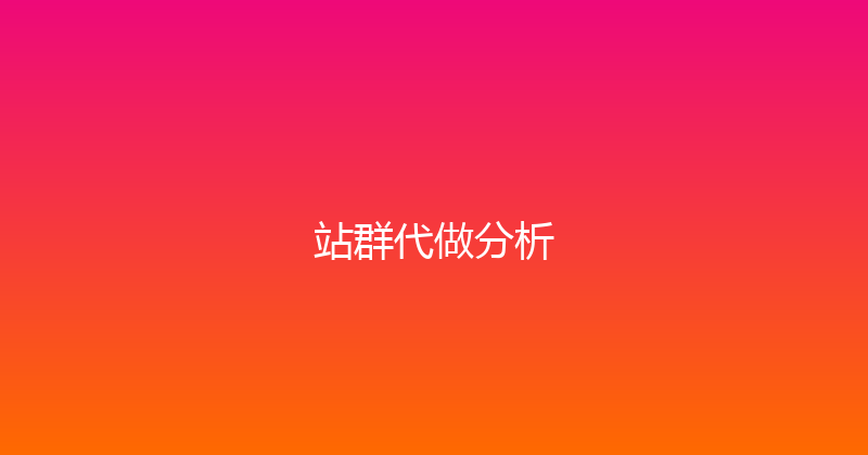 站群代做分析 封面图